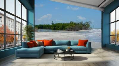 Strand, Landschaft auf Sanibel Island in Florida, USA Wall mural