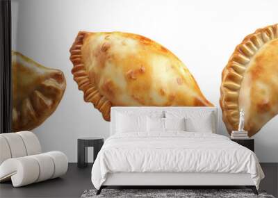 Baked empanada pastry set isolated on transparent background Wall mural