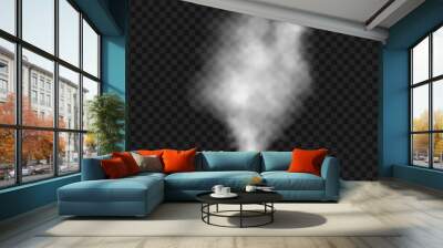 White smoke or fog isolated on transparent background. Vector realistic element steam or mist. Wall mural