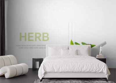 laboratory and research with alternative herb medicine natural skin care Wall mural