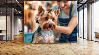 Dog hair cutting. woman cutting hair of dog in a grooming salon Wall mural