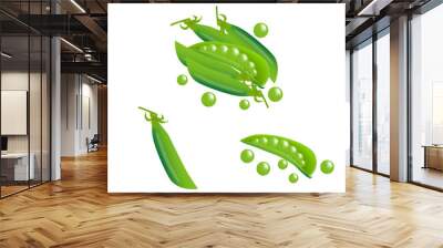 green fresh pea pods isolated vector illustration Wall mural