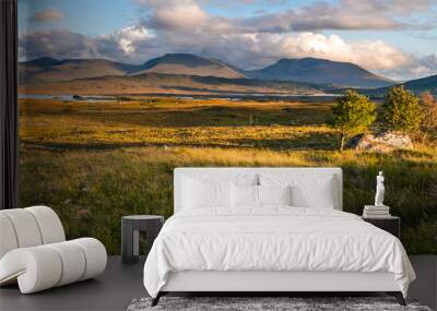 Panoramatic view on Scotland highland during sunset with clouds, green yellow grass painting typical summer view Wall mural