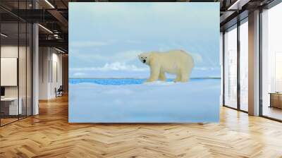 Big polar bear on drift ice edge with snow a water in Arctic Svalbard, big white animal in the nature habitat,  foggy mountain in the background, Norway Wall mural