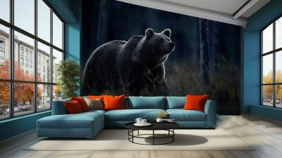 Wildlife in night. Brown bear walking in dark night forest. Dangerous animal in nature taiga and meadow habitat. Wall mural