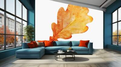 autumn maple leaf Wall mural