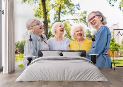 Group of seniors people bonding at the park Wall mural