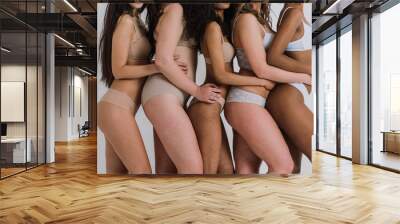 Group of women with different body and ethnicity posing together to show the woman power and strength. Curvy and skinny kind of female body concept Wall mural