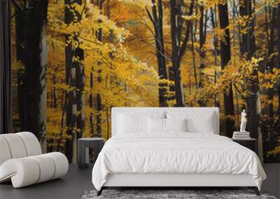 Beautiful view of the autumn forest in the morning. The leaves have turned yellow and red. digital landscape illustration Wall mural