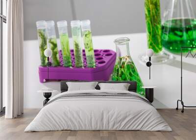 research and Biotech science Scientists are developing research on algae. Bio-energy, biofuel, energy research Wall mural