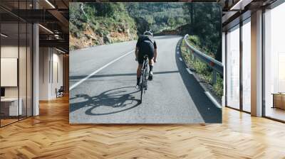 Male professional cyclist climbing in the Spanish mountains Wall mural