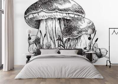 Cep mushroom vecor sketch illustration, porcini boletus with forest accessories: moss, plants, acorns.  Edible mushroom isolated engraving on white background. Wall mural