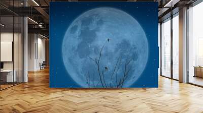 Silhouette tree branch and birds on big moon background. Wall mural