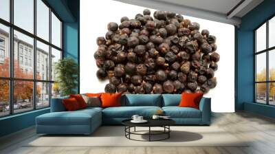 Dried juniper berries Wall mural