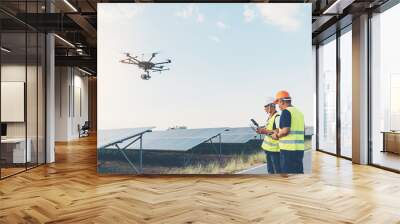 Inspector engineering concept; Engineer inspect solar panel  at solar power plant Wall mural