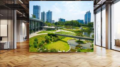 Beautiful Wetland Park and urban skyline in Chongqing, China Wall mural