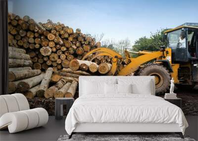 Forklift truck grabs wood in a wood processing plant Wall mural