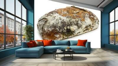 a loaf of bread with white and brown moldy crust Wall mural