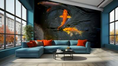 Methods and environment for cultivating aquarium fish in ponds. Wall mural