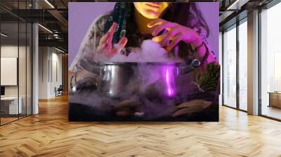 Sorceress prepares a spell in her magic cauldron. witch casting spells in magic cauldron. seeing the future with magic Wall mural