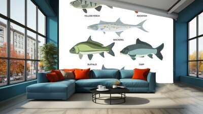 Cartoon illustrations of freshwater and ocean fishes Wall mural