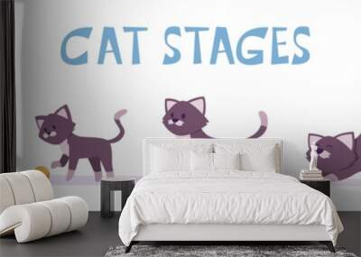 Cat growth stages. Small domestic animal playful and lying poses pets growing exact vector characters in cartoon style Wall mural