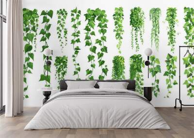 Green ivy cartoon vector set. Grape liana stems shoots climbing leaves plants room garden decorative flora isolated on white background Wall mural