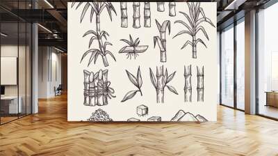 Sugar cane. Fresh sugar harvest agriculture plantation vector hand drawn plants. Sugarcane natural, plant harvest, cane sugar illustration Wall mural