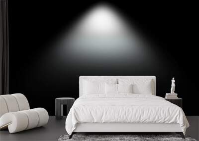 light effect spotlight. spotlight black and white lighting. light effects. isolated on black backgro Wall mural