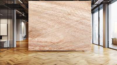 Brown wood background. old wooden texture with natural pattern backdrop. Wall mural