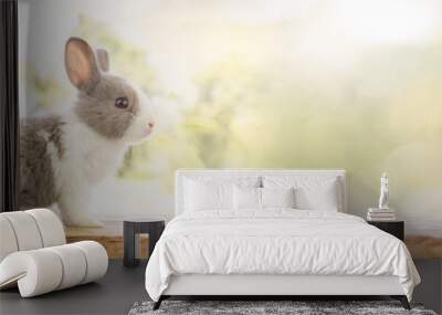 The rabbit sit on the wood with light bokeh form nature background. Easter day Wall mural