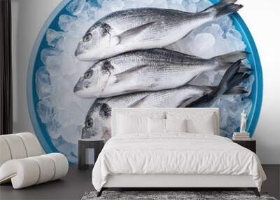 Fresh fish displayed on ice, perfect for culinary use or seafood market imagery. Wall mural