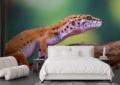 Leopard Gecko on the branch of wood Wall mural