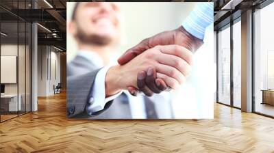 Business people shaking hands  Wall mural