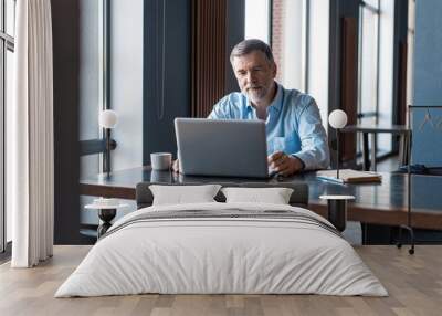 Mature businessman working on laptop. Handsome mature business leader sitting in a modern office Wall mural