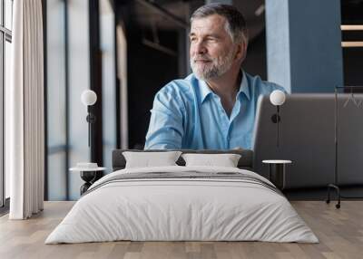 Mature businessman working on laptop. Handsome mature business leader sitting in a modern office Wall mural