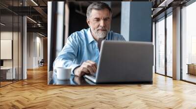 Mature businessman working on laptop. Handsome mature business leader sitting in a modern office Wall mural