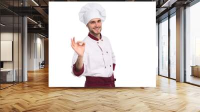 Positive professional happy man chef showing tasty ok sign isolated on transparent background Wall mural