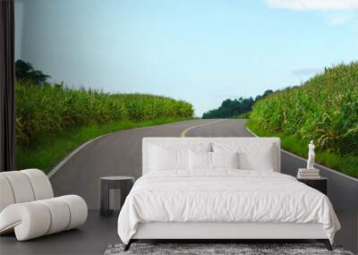 The image shows a rural asphalt road with green corn field on both sides and blue sky in the background. Wall mural