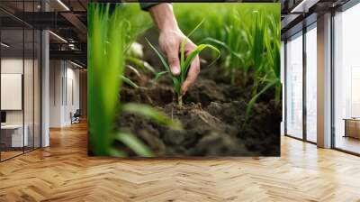 regenerative agriculture, hand, green field, soil, eco-friendly, environment conscious, farming, healthy ecosystem, generative ai Wall mural