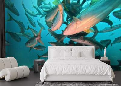 Shark Scramble only 2 hours away from TOKYO. World famous shark scuba diving in ITO, Chiba Japan. Wall mural