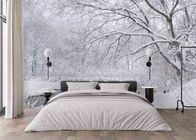 Winter landscape Wall mural