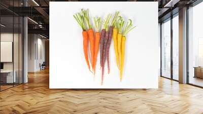 Colorful Rainbow Carrot Wall mural