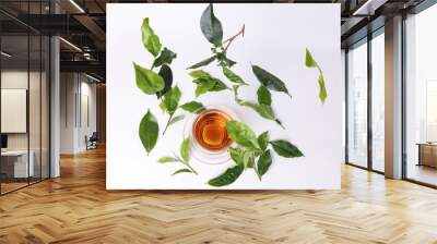 different types of fresh raw green tea leaf flower bud dropping floating elevated over transparent glass teacup saucer liquid tea on white background top view Wall mural