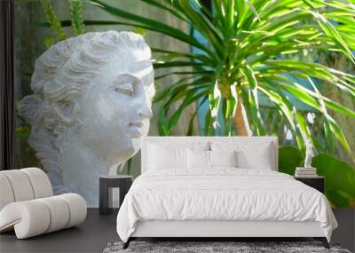 A face of white Greece female sculpture in a green garden with warm light Wall mural