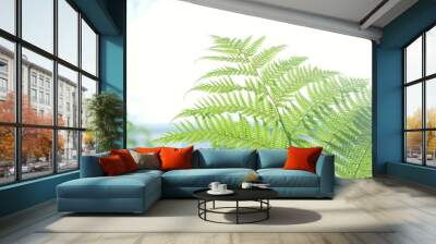 Tropical fern leaves on white sky background with sunlight bokeh Wall mural