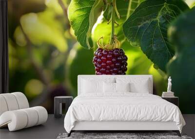 Ripe Mulberry Hanging on Branch Wall mural