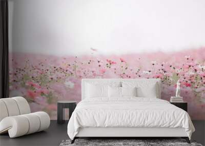 Cosmos flowers background in pastel style Wall mural