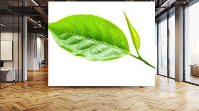 Realistic display of green tea leaves It has a surface that shimmers with a subtle sheen. Isolated on white background. Wall mural