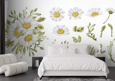 elegant beautiful white daisy flower isolated Wall mural